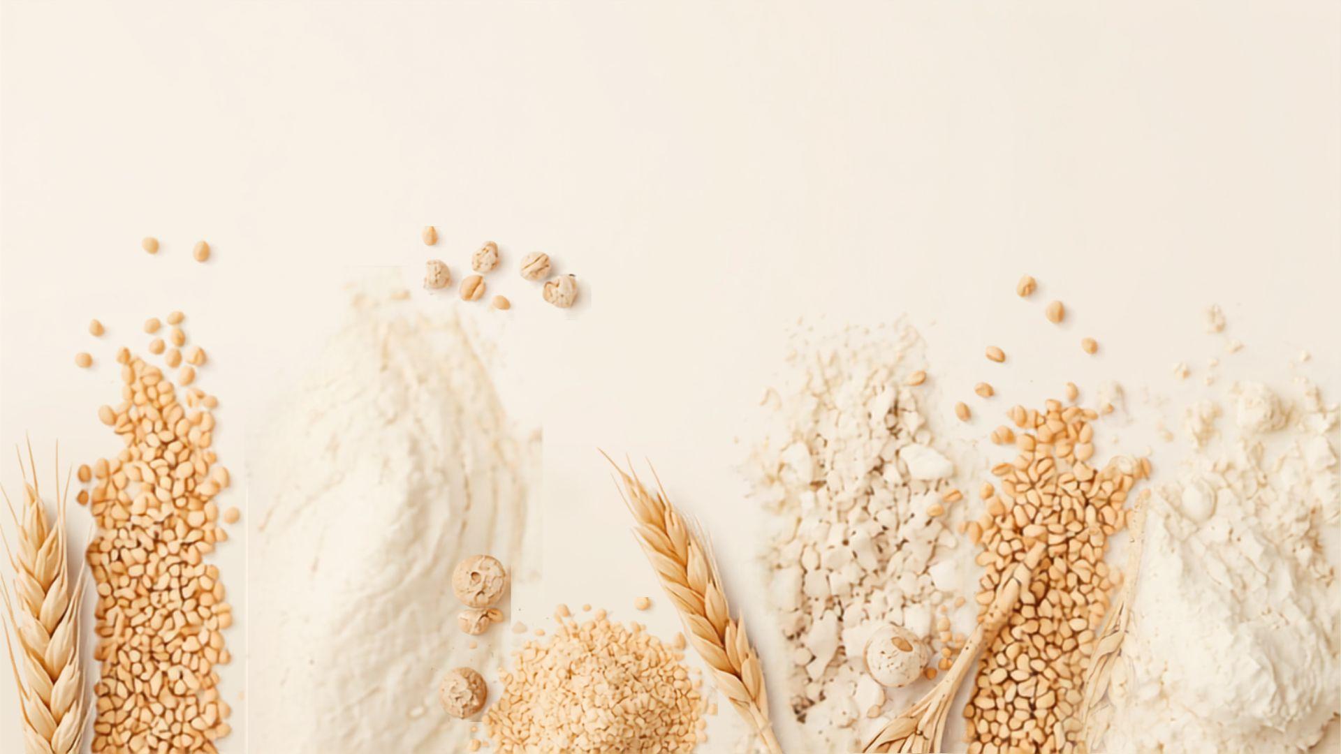 Top-down arrangement of pale rice husks, beige beans, fine powder and grains on a warm white surface.
