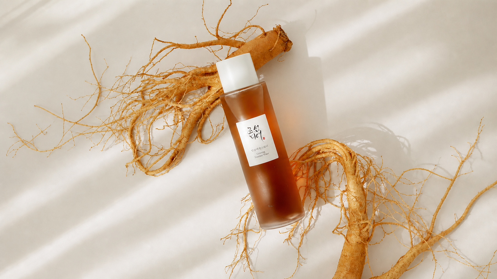 Beauty of Joseon Ginseng Essence Water bottle arranged with whole ginseng roots in warm natural light.