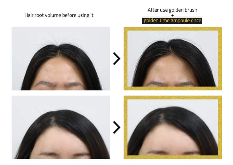VANAV - Time Machine Golden Brush