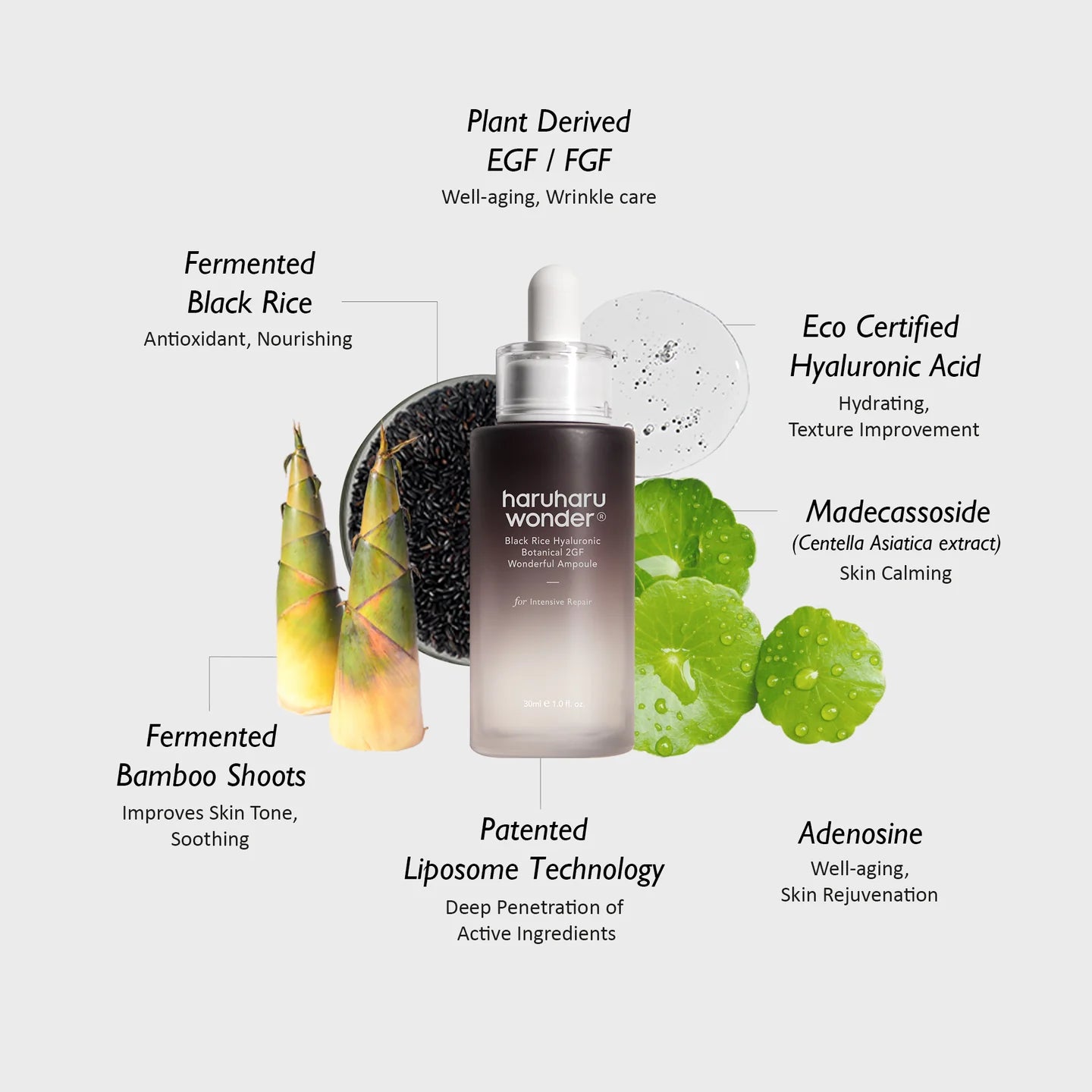 HARUHARU WONDER - Black Rice Hyaluronic Botanical 2gf Wonderful Ampoule 30ml